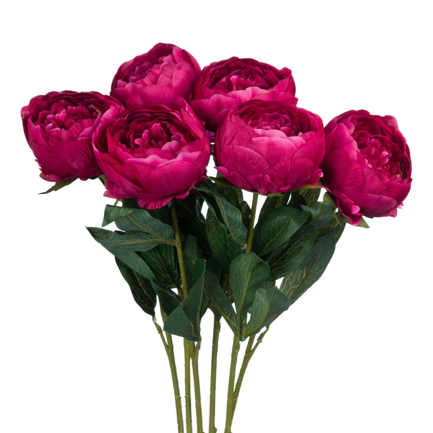 Cerise Peony Hill Interiors