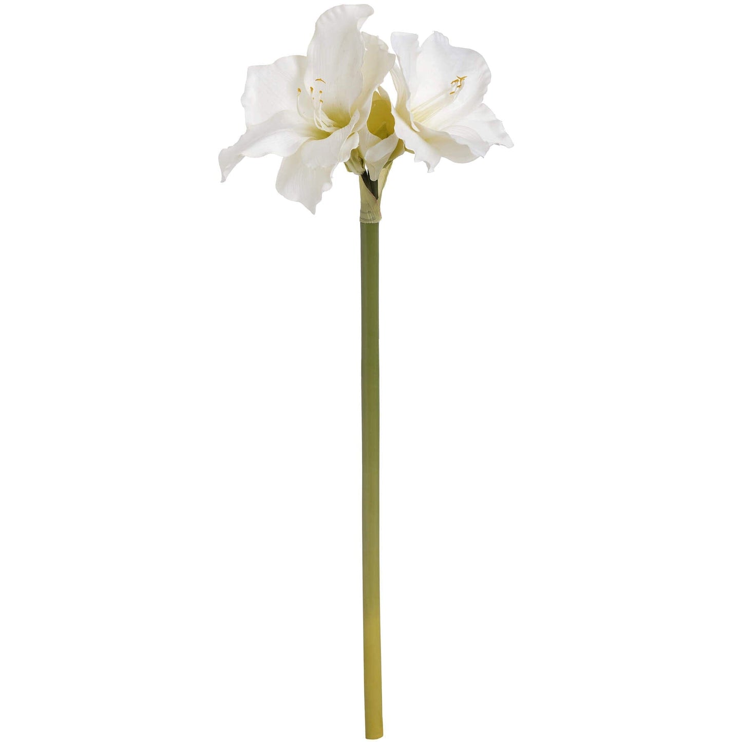 Classic White Amaryllis Flower Hill Interiors