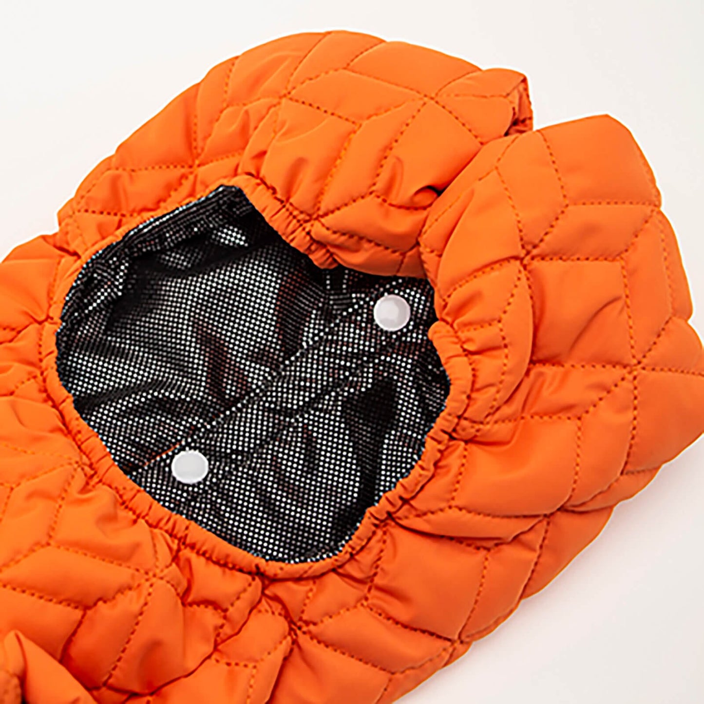 Double-layer Winter Dog Coat Coat/Jacket ispet