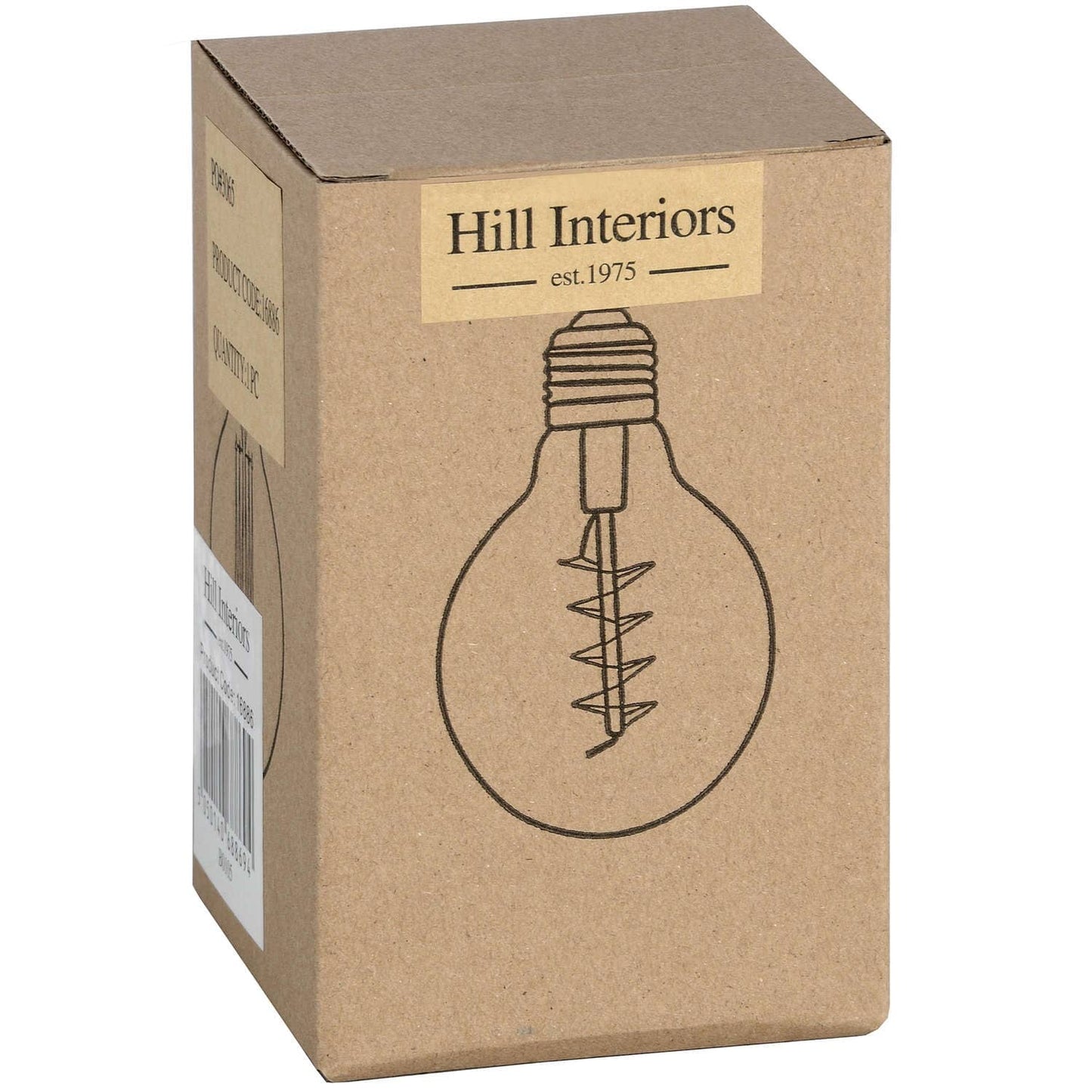 Edison Filament Round Globe Bulb Hill Interiors