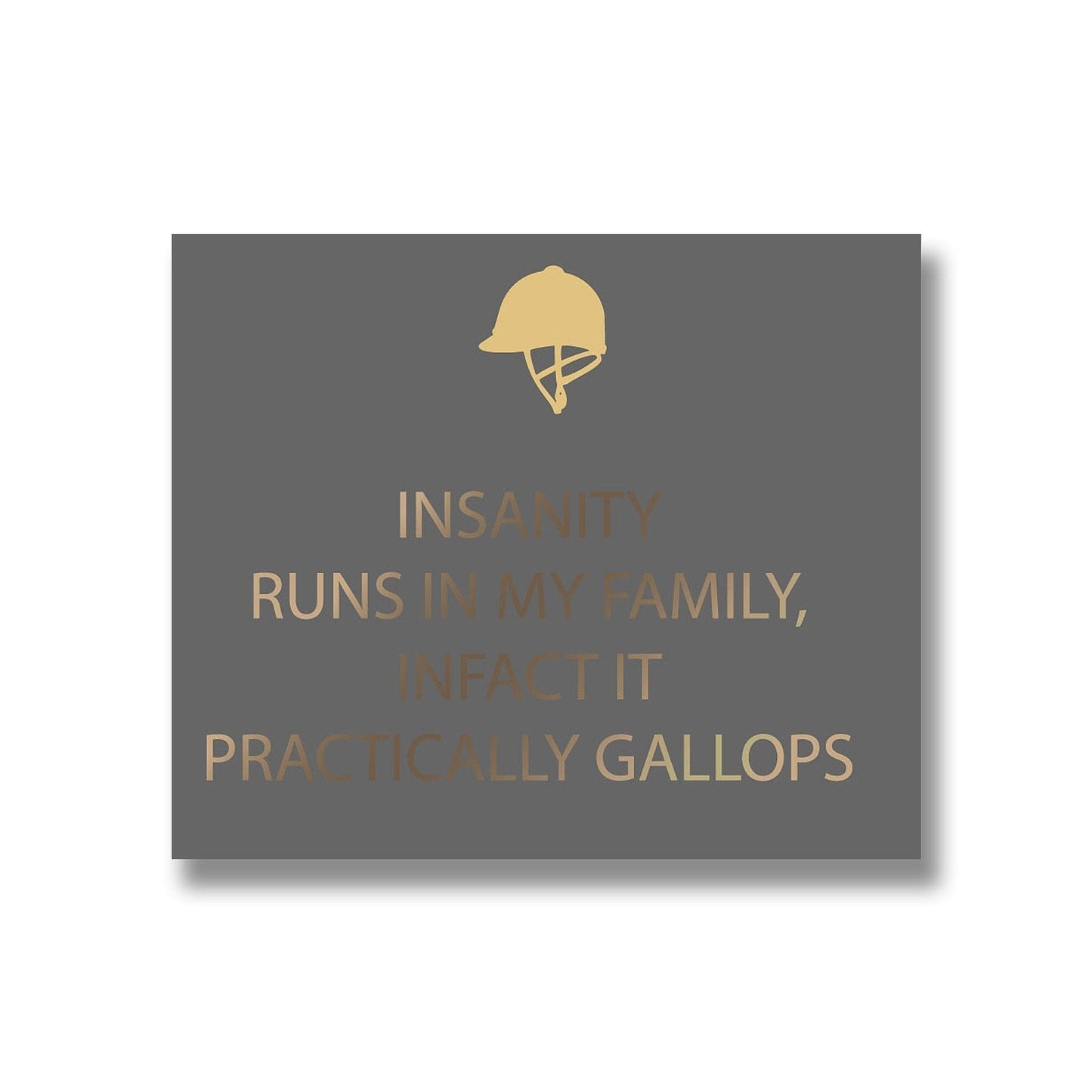 Insanity Silver Foil Plaque Hill Interiors