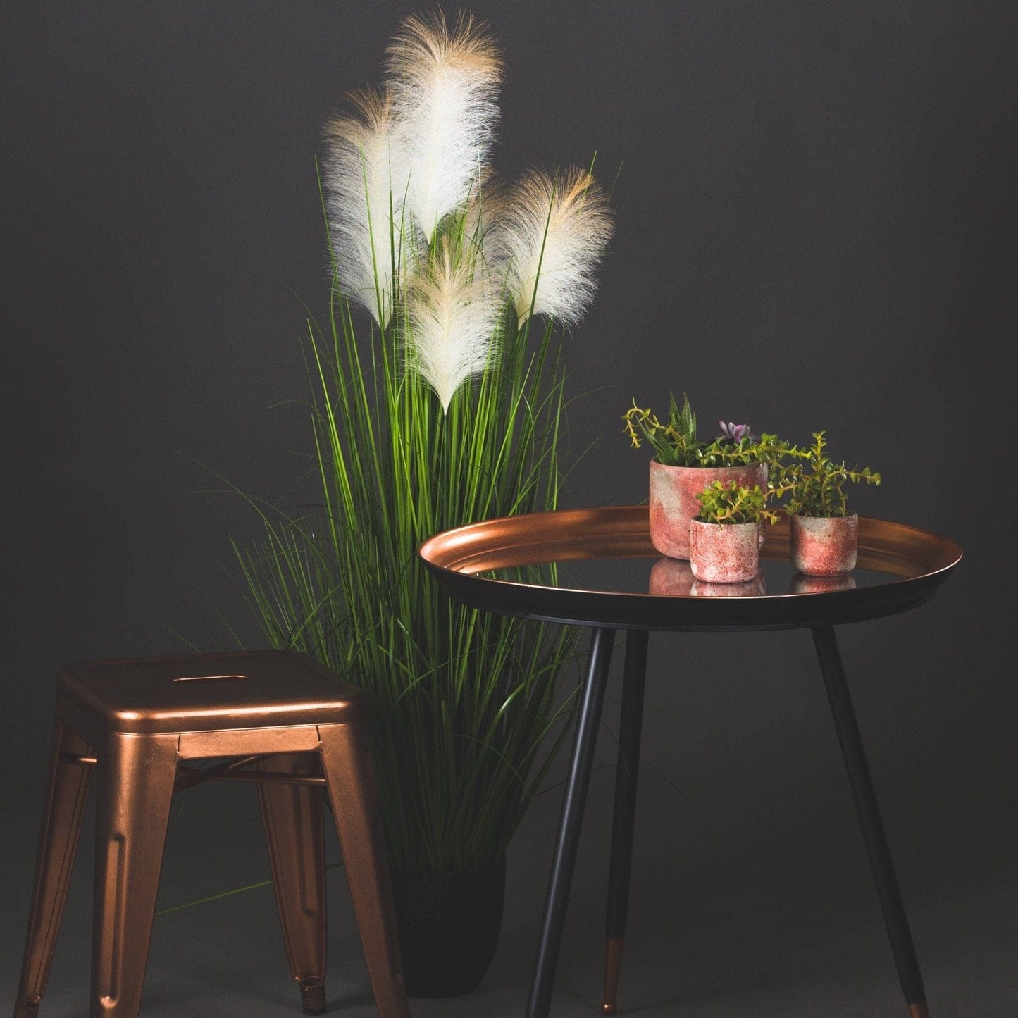 Pampas Grass Bush Hill Interiors