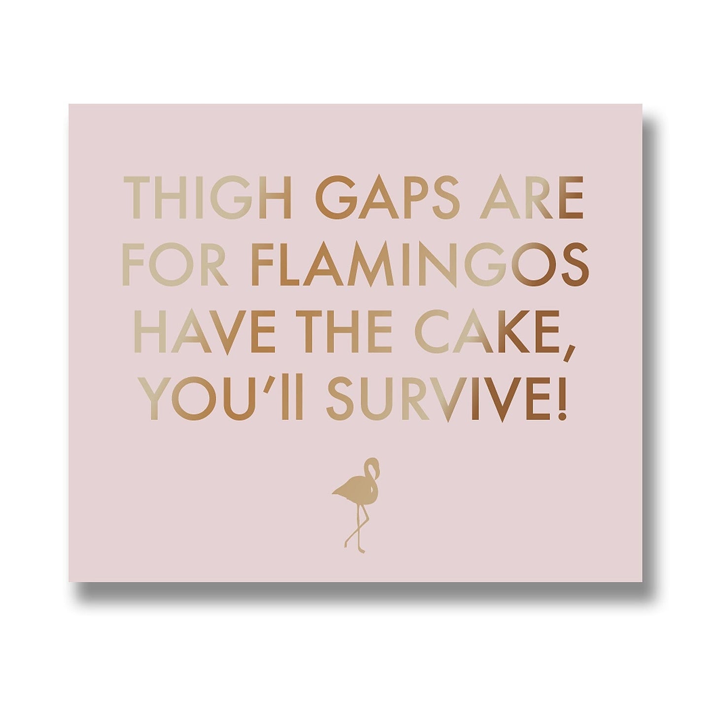 Thigh Gaps Are For Flamingos Metallic Detail Plaque Hill Interiors