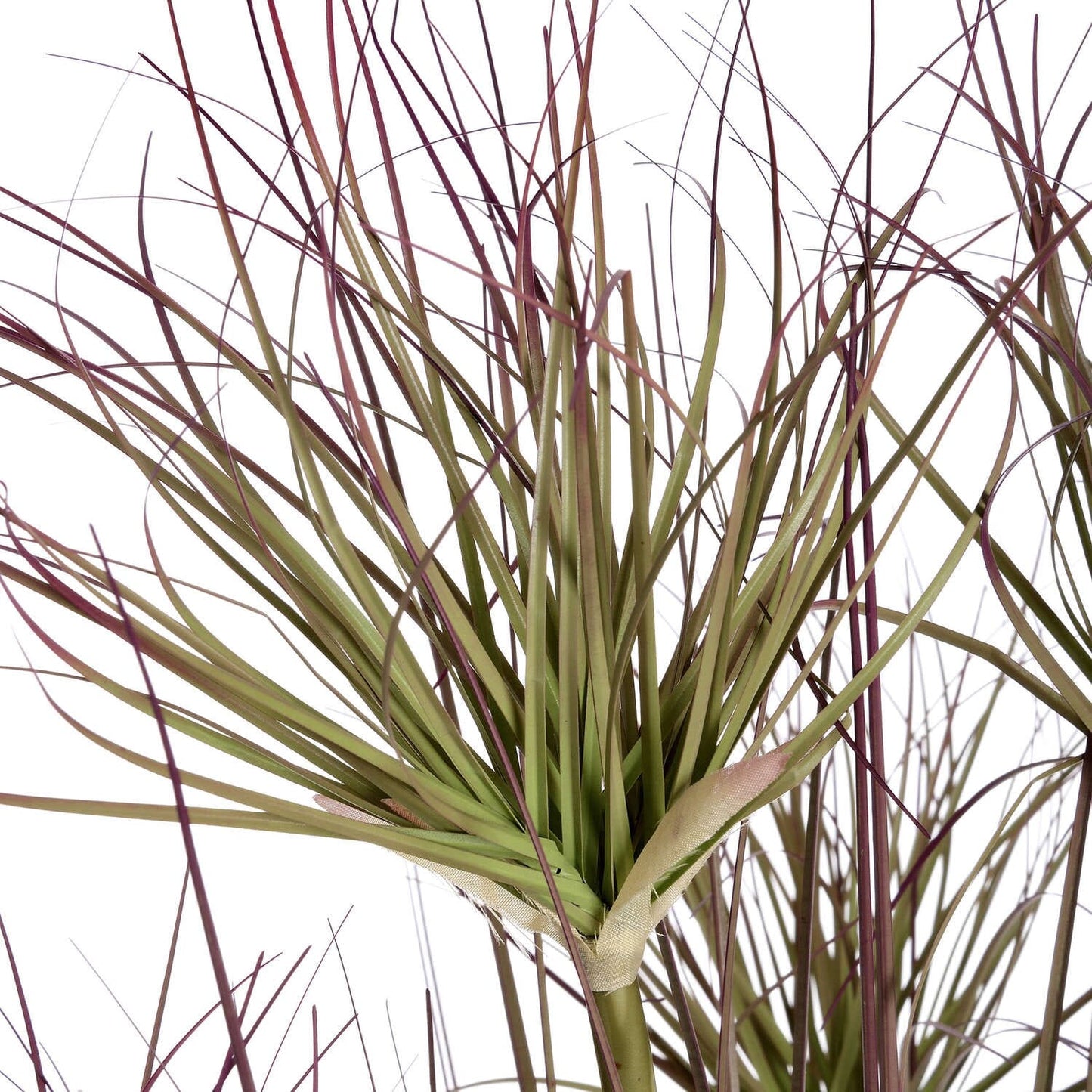 Water Bamboo Grass 48 Inch Hill Interiors