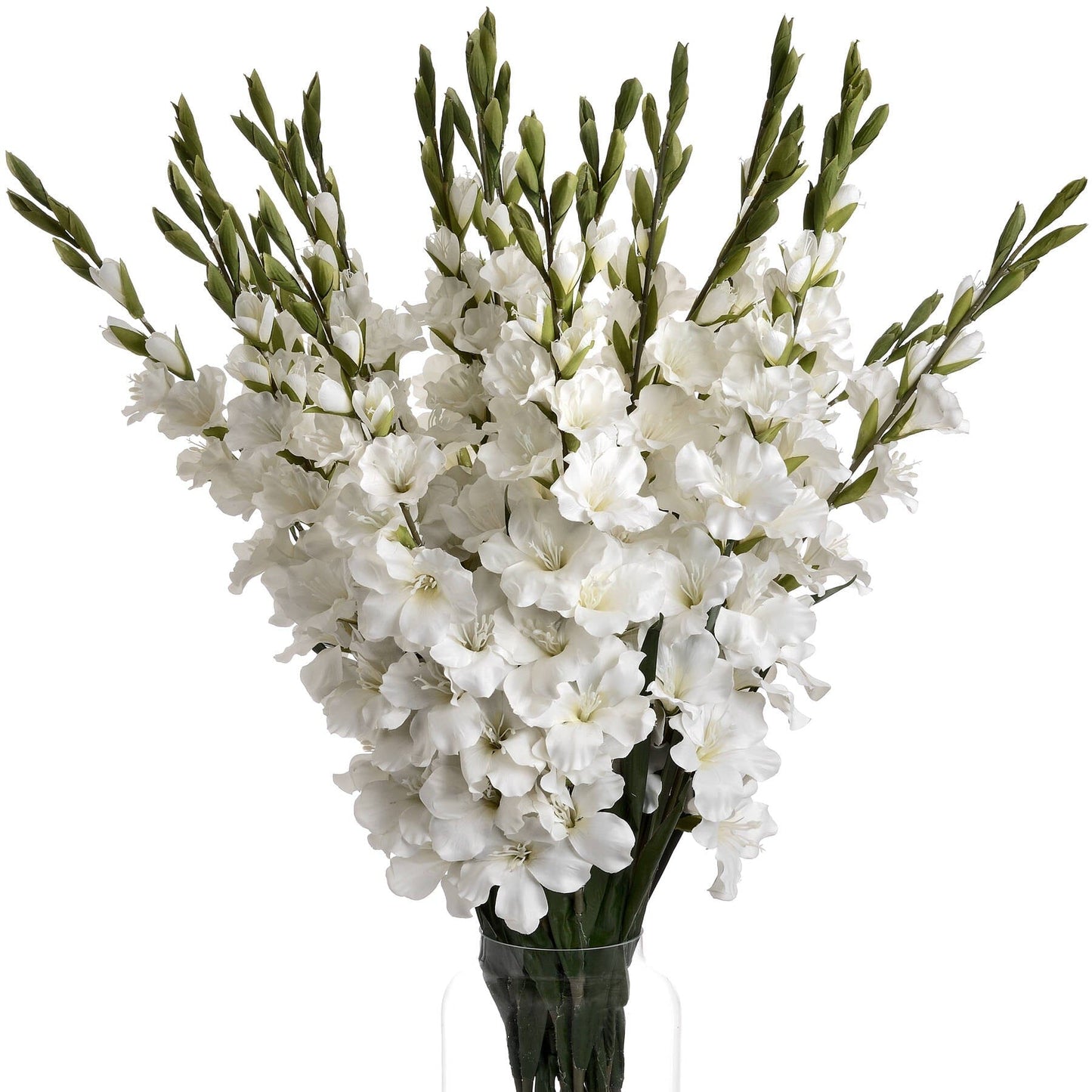White Gladioli Hill Interiors