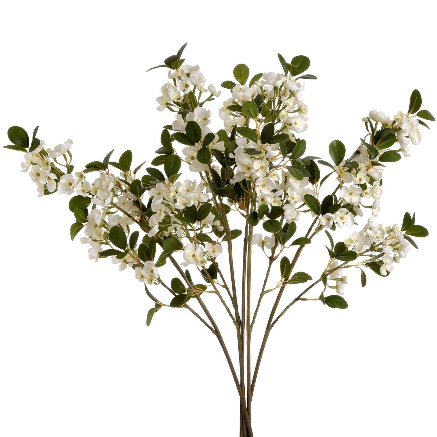 White Spring Mock Orange Flower Hill Interiors
