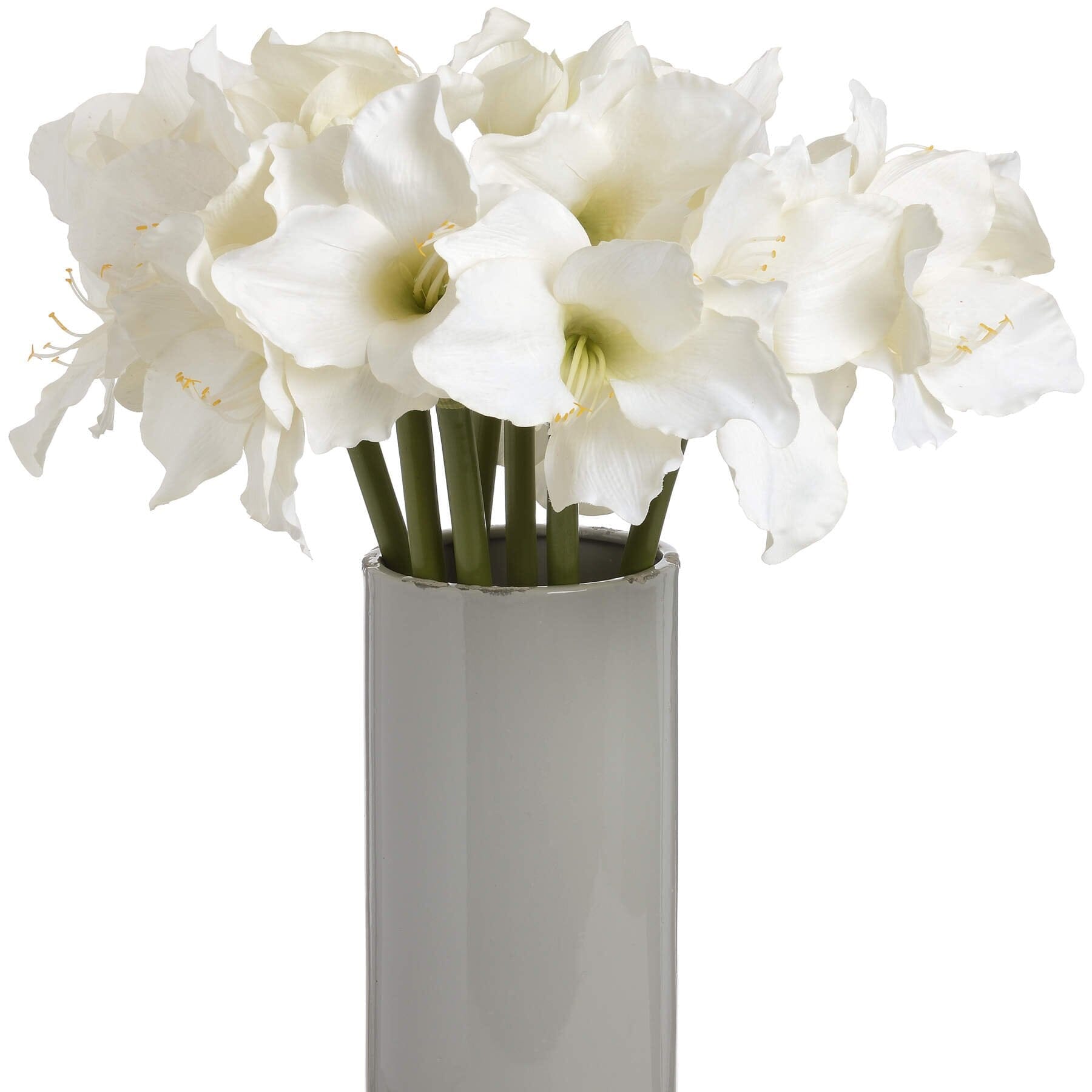 Classic White Amaryllis Flower Hill Interiors 