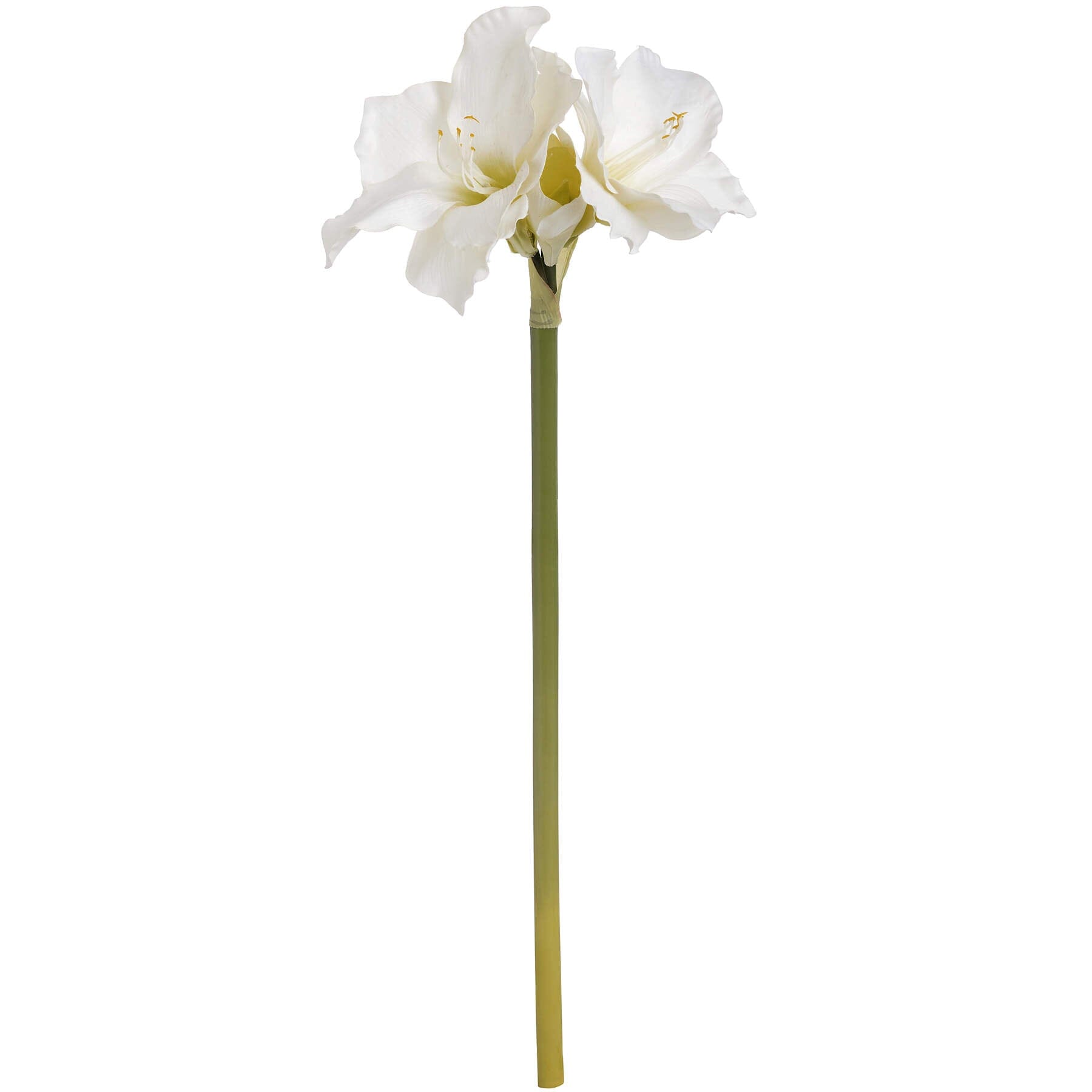 Classic White Amaryllis Flower Hill Interiors 