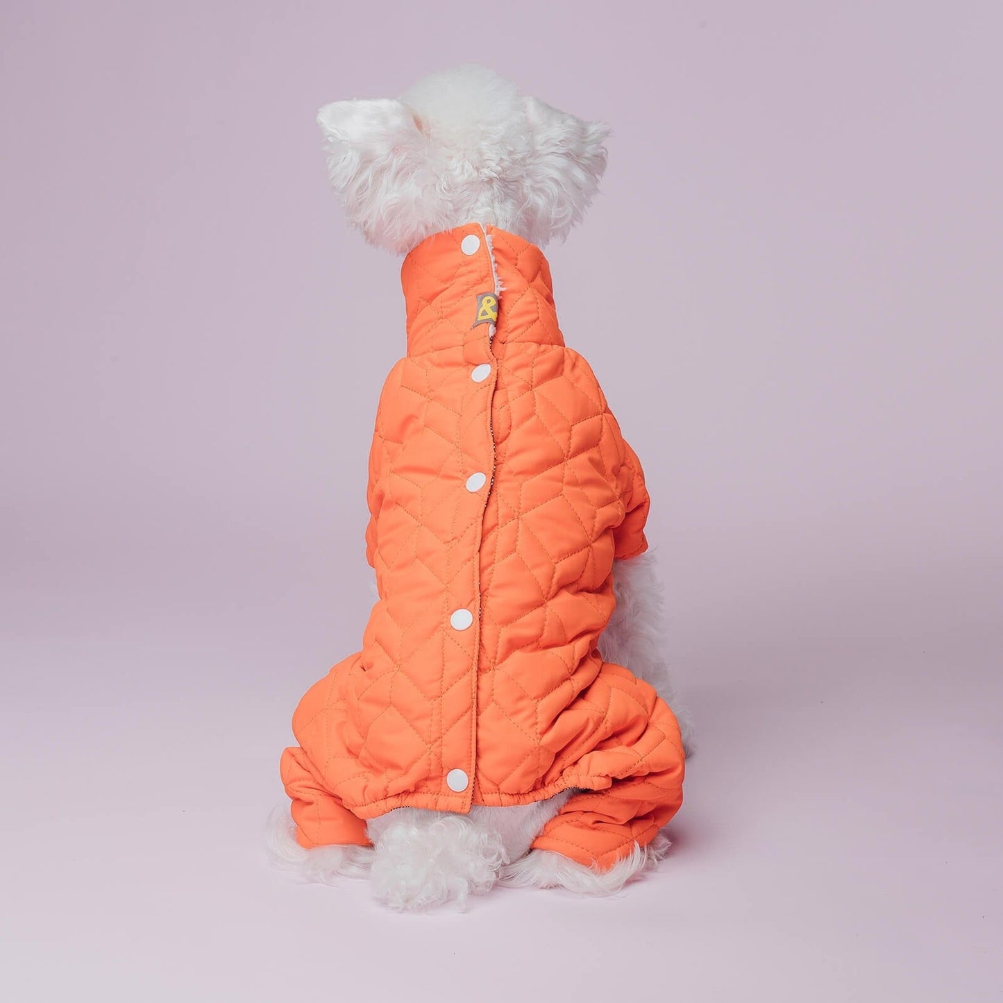 Double-layer Winter Dog Coat Coat/Jacket ispet 