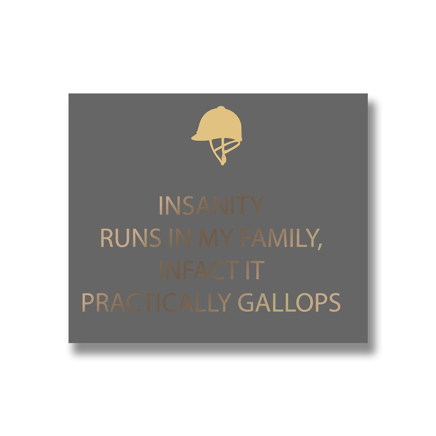 Insanity Silver Foil Plaque Hill Interiors 