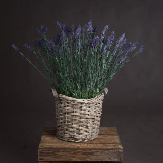 Large Lavender Spray Hill Interiors 