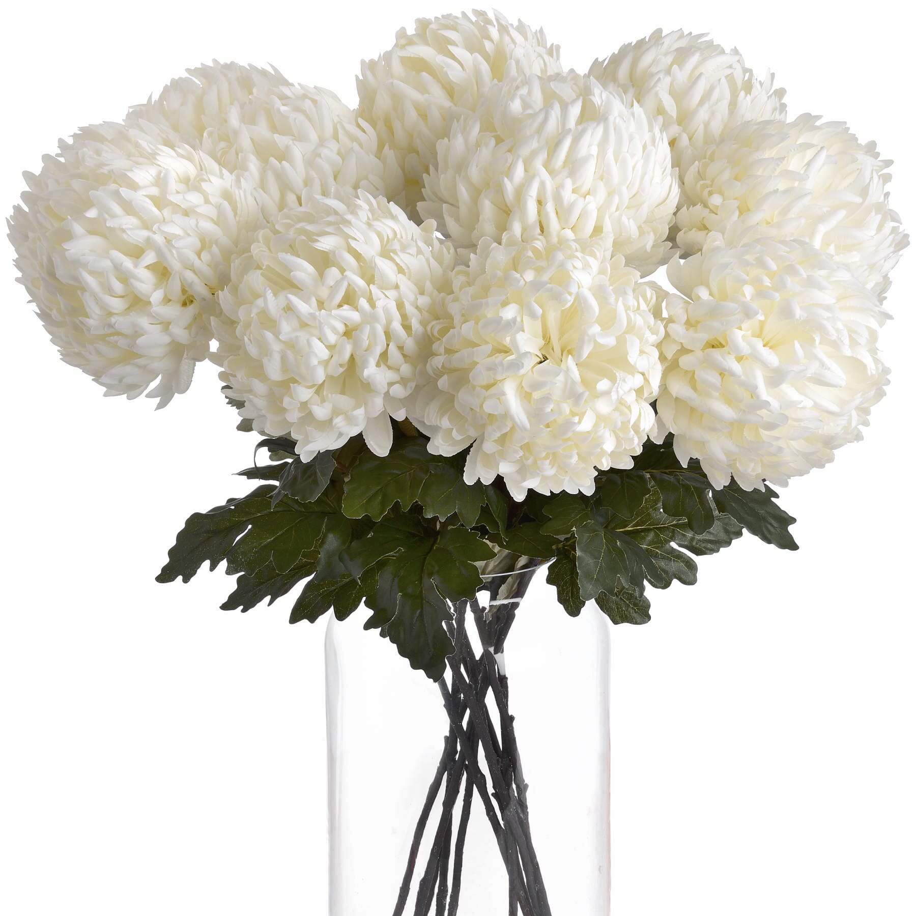 Large White Chrysanthemum Hill Interiors 