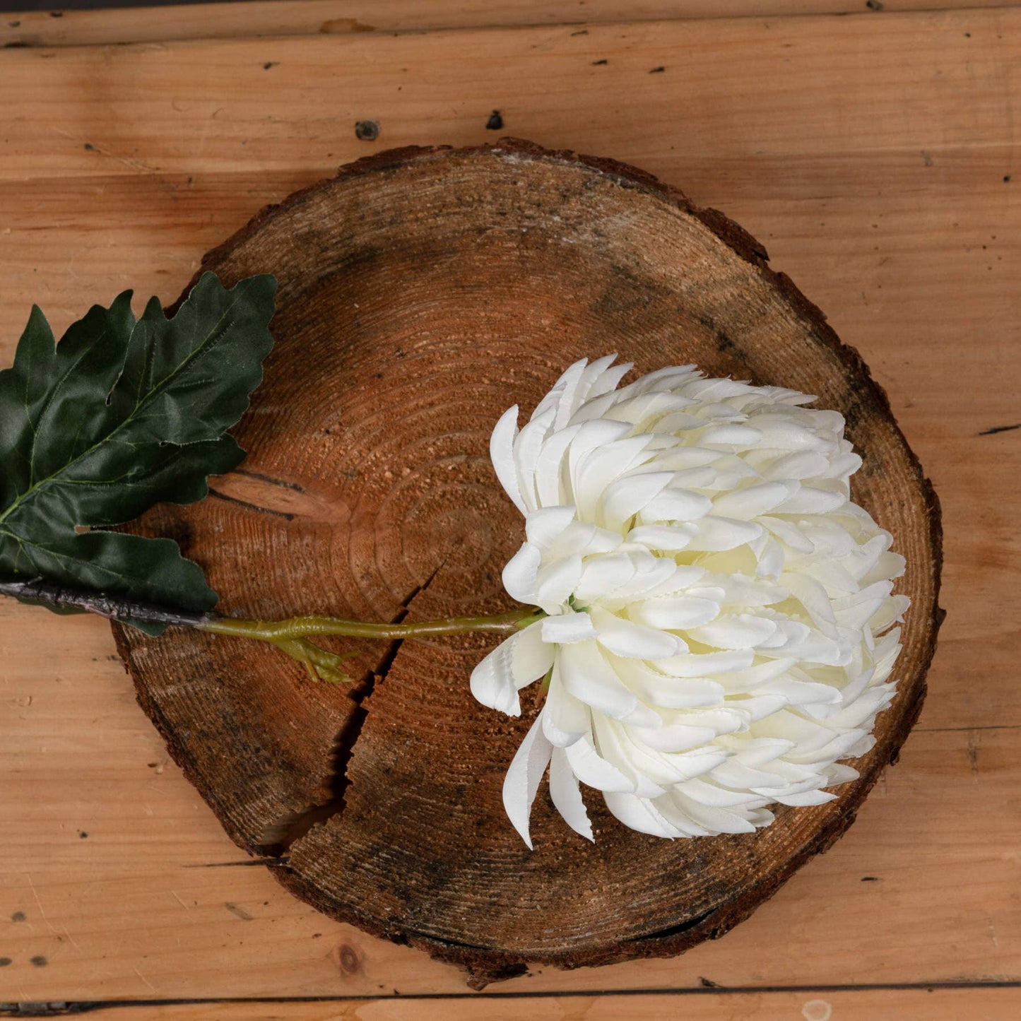 Large White Chrysanthemum Hill Interiors 