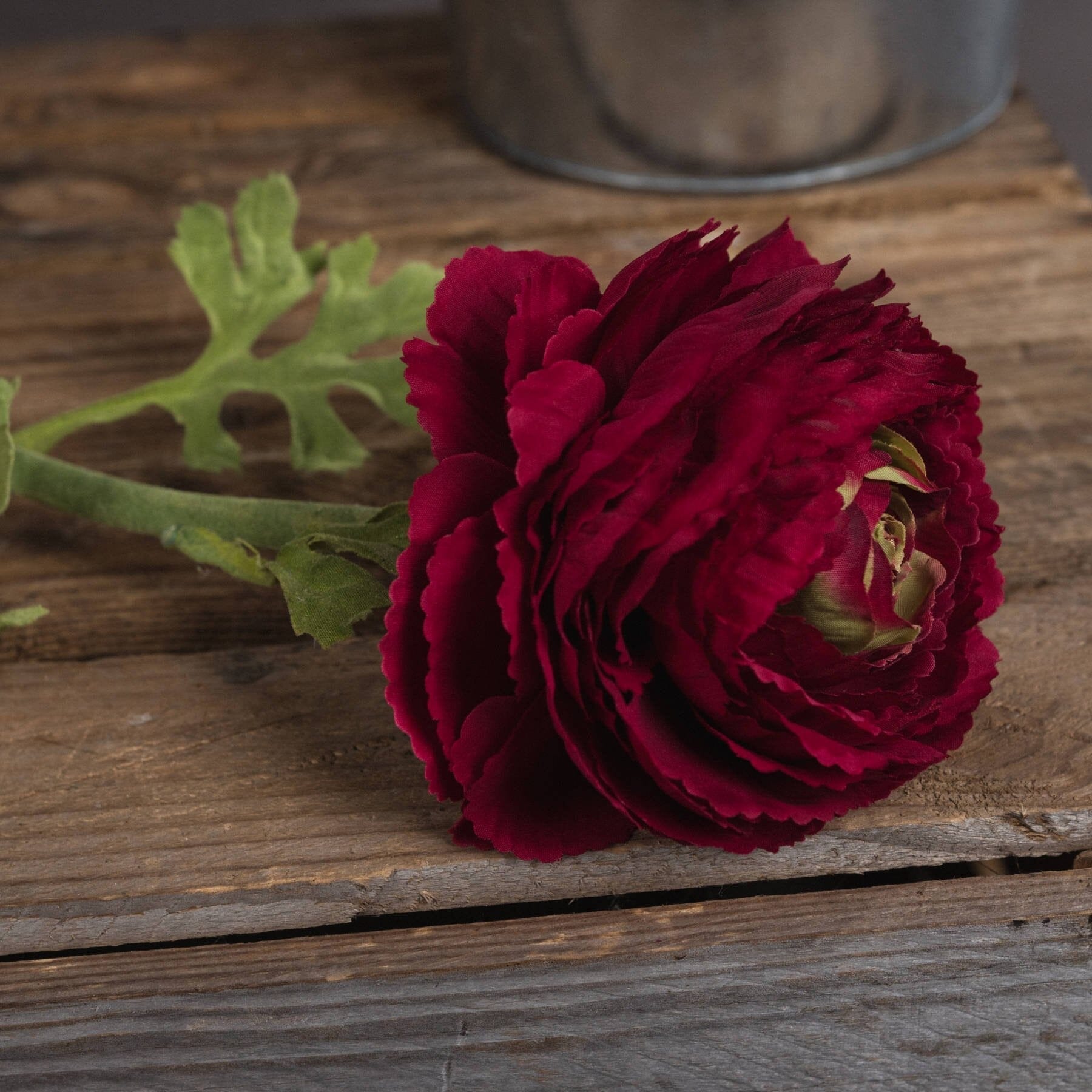 Red Ranunculus Spray Hill Interiors 