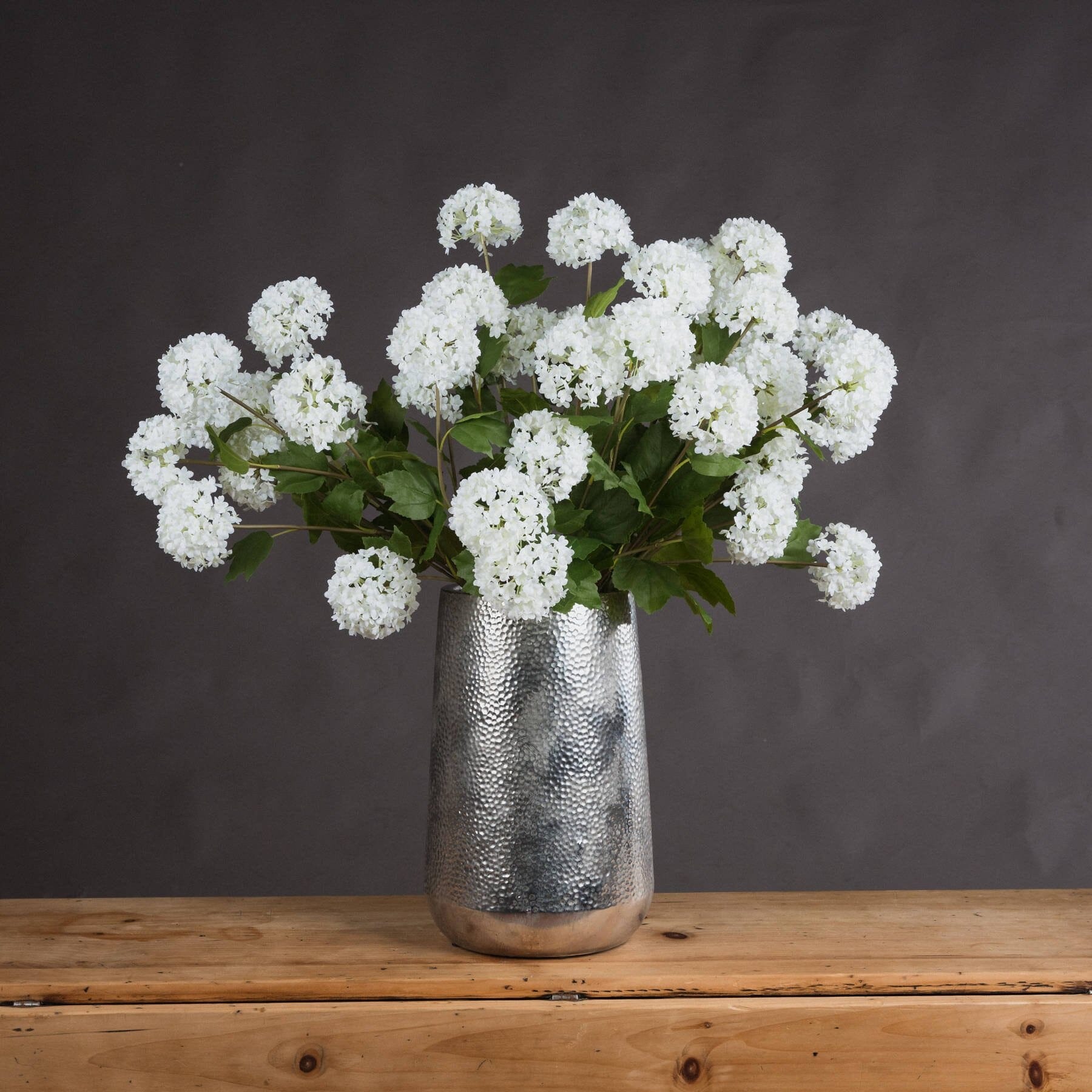 Viburnum Opulus Hill Interiors 