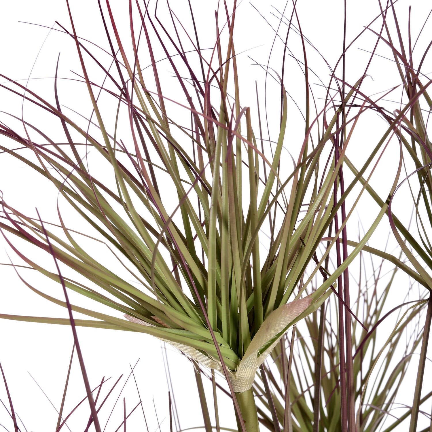 Water Bamboo Grass 48 Inch Hill Interiors 