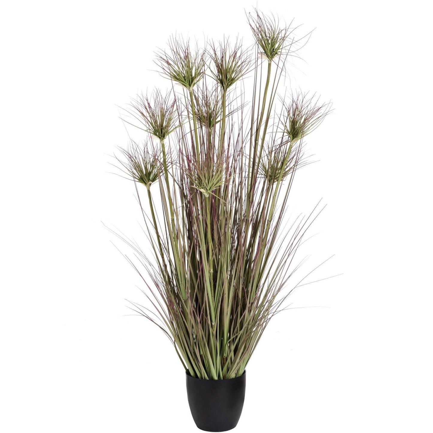 Water Bamboo Grass 48 Inch Hill Interiors 