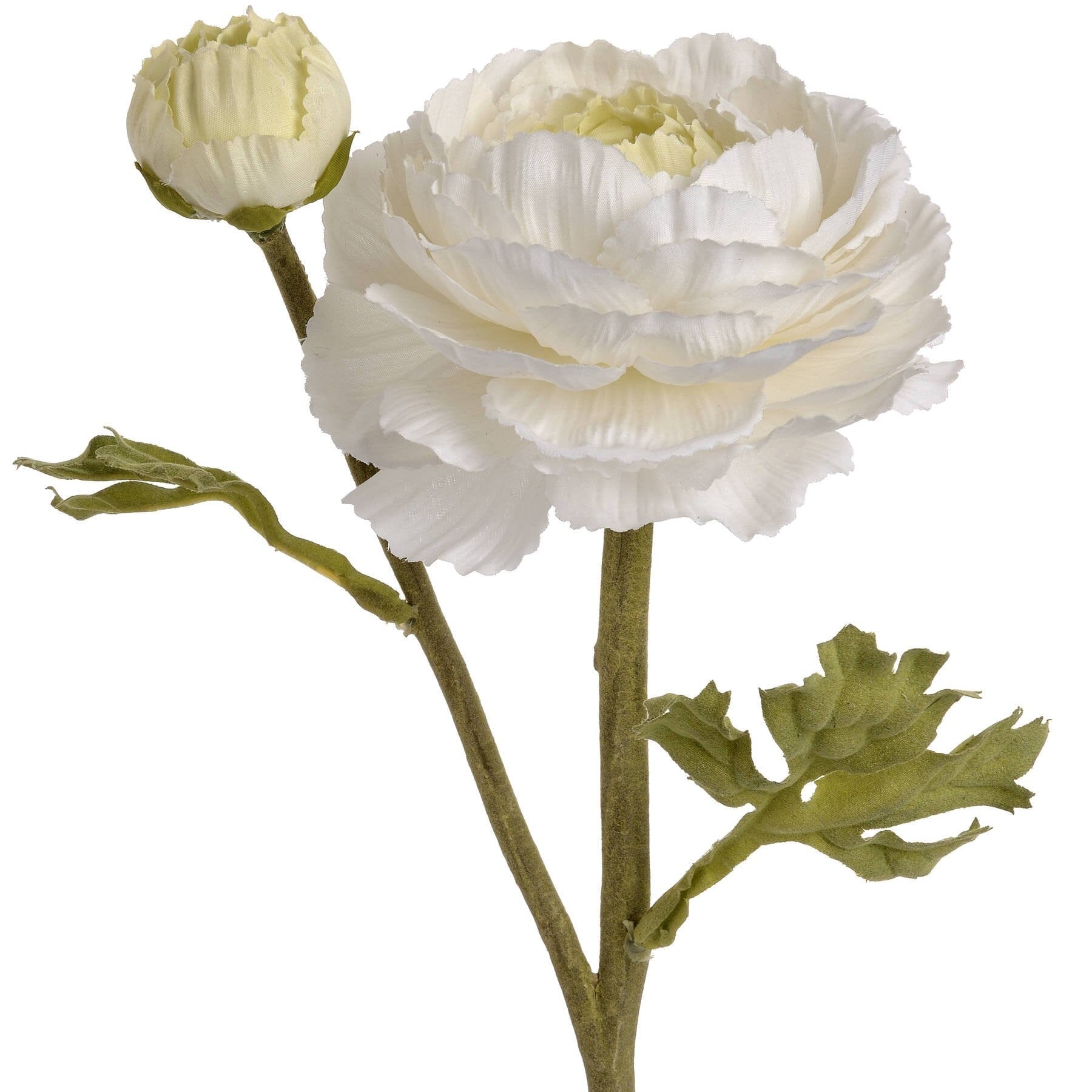 White Ranunculus Spray Hill Interiors 