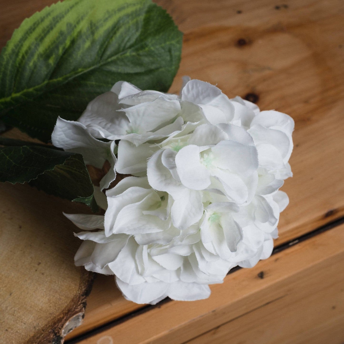 White Small Head Hydrangea Hill Interiors 