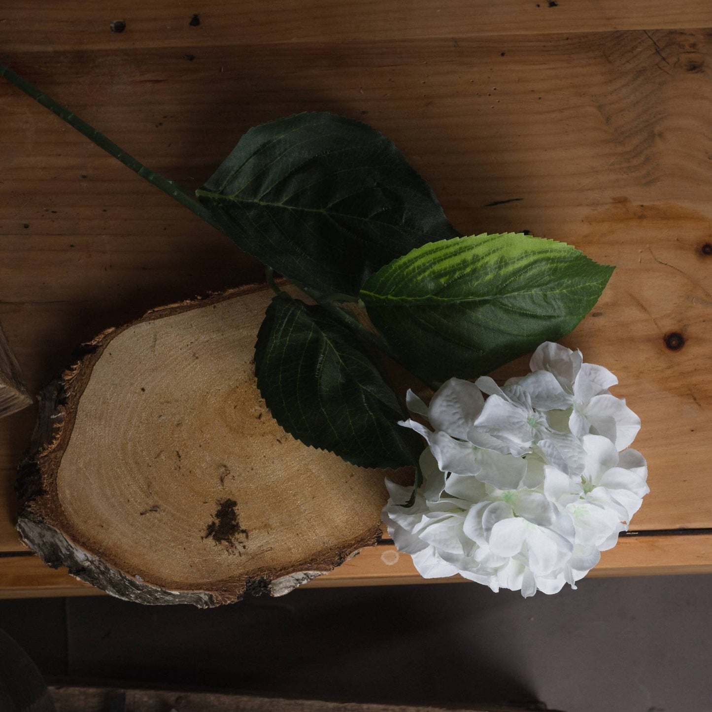 White Small Head Hydrangea Hill Interiors 