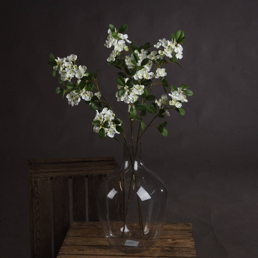 White Spring Mock Orange Flower Hill Interiors 