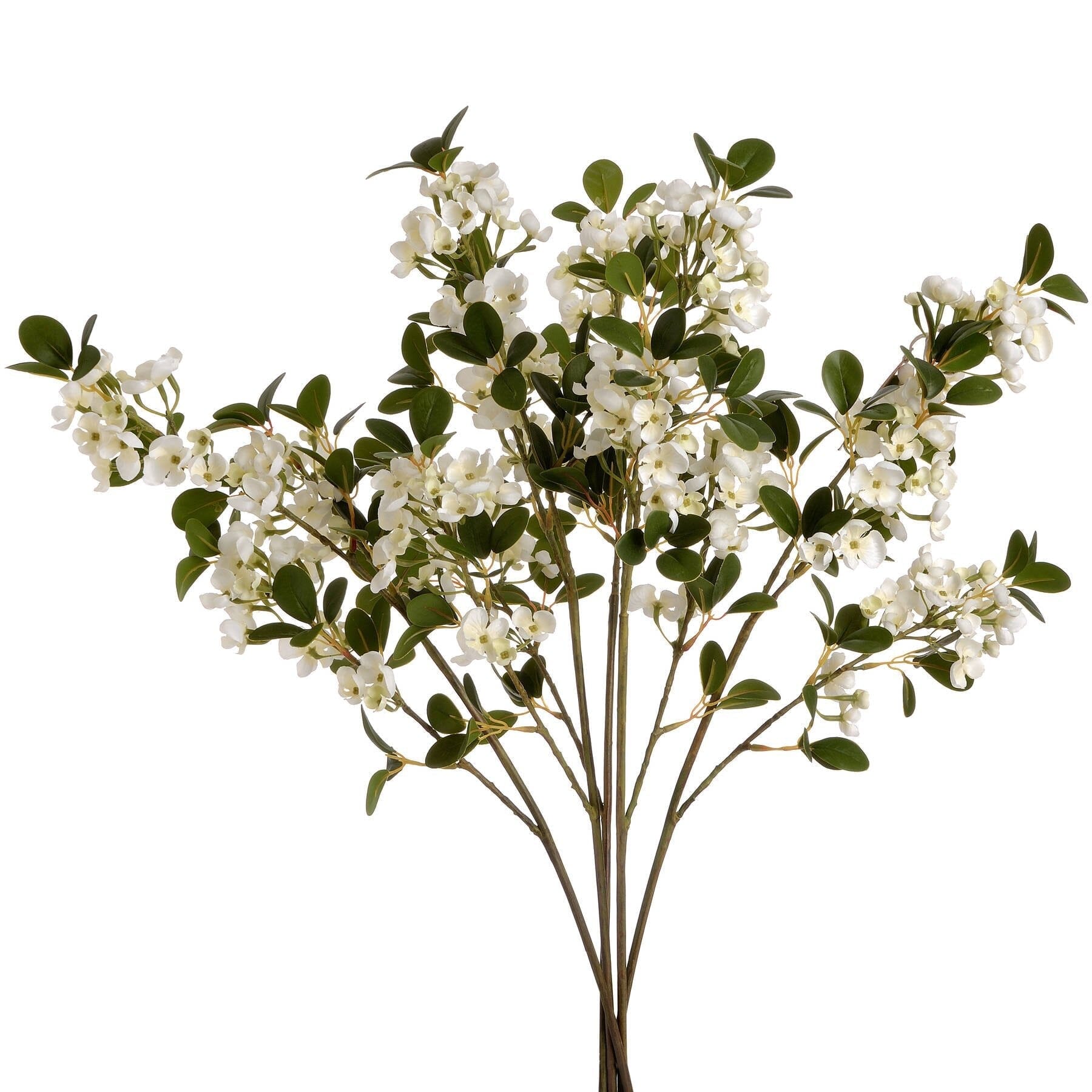 White Spring Mock Orange Flower Hill Interiors 